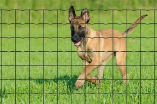 tuinafsluitingen pantanet® protect betafence Tuinafsluitingen Pantanet® Protect Betafence clotures en rouleau pantanet protect de betafence 310x205