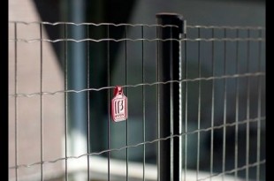 tuinafsluiting pantanet® essential betafence Tuinafsluiting Pantanet® Essential Betafence clotures pantanet essential de betafence1 310x205